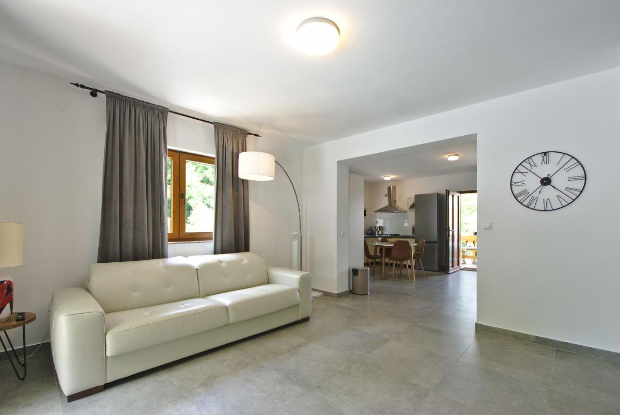 Čavle Holiday House With Pool المظهر الخارجي الصورة
