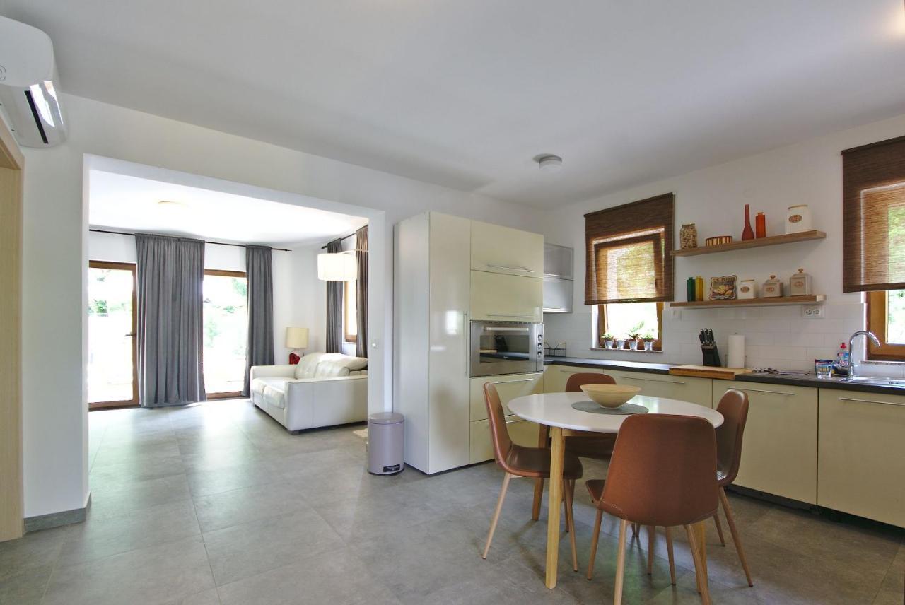Čavle Holiday House With Pool المظهر الخارجي الصورة